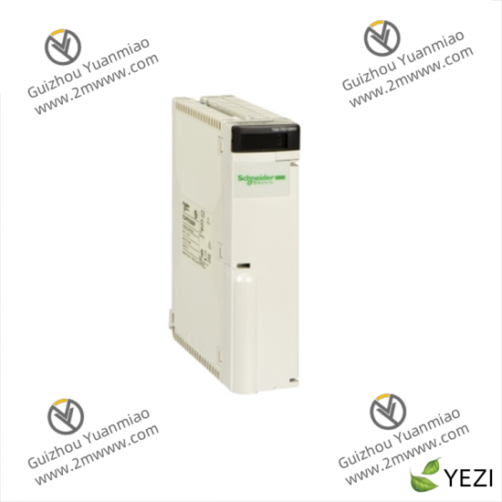 SCHNEIDER AS-BDEP-218