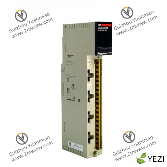 SCHNEIDER AS-BDEP-218