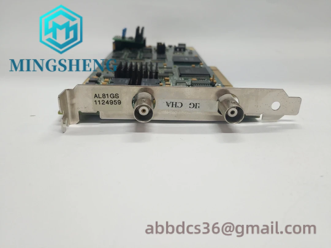 AL81G Terminal Connections