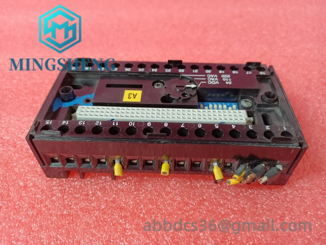 CS31 Module Front View