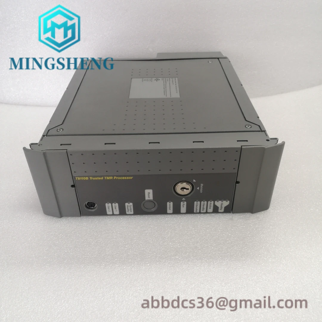 ICS TRIPLEX T8110B Component Details