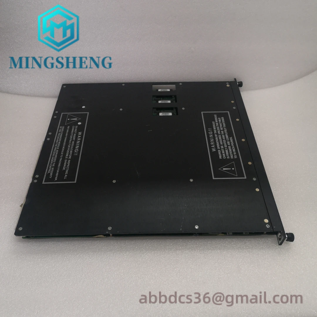 TRICONEX 3503E connection ports