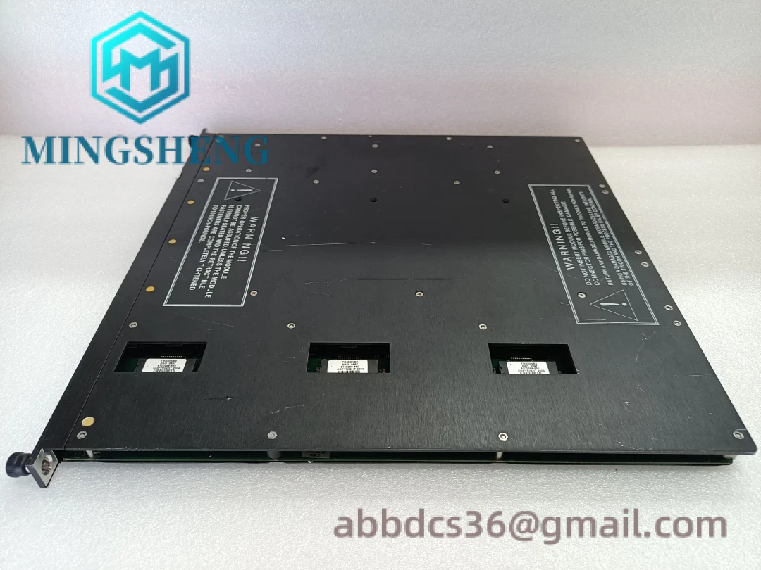 TRICONEX 3805E Rear Connections