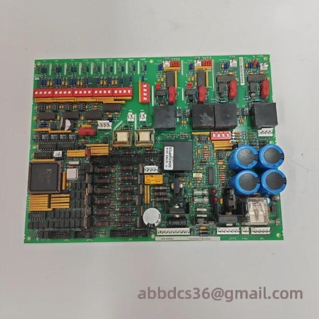 DS200DCFBG2BNC Module Front Panel