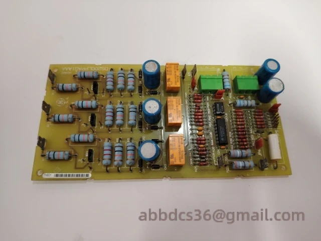 DS200LPPAG1AAA Rear Connections