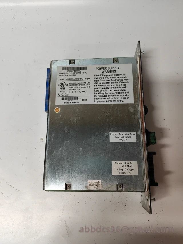 IC698PSD300C Module Front Panel