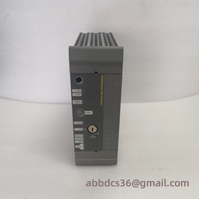 ICS TRIPLEX T8110B terminal connections