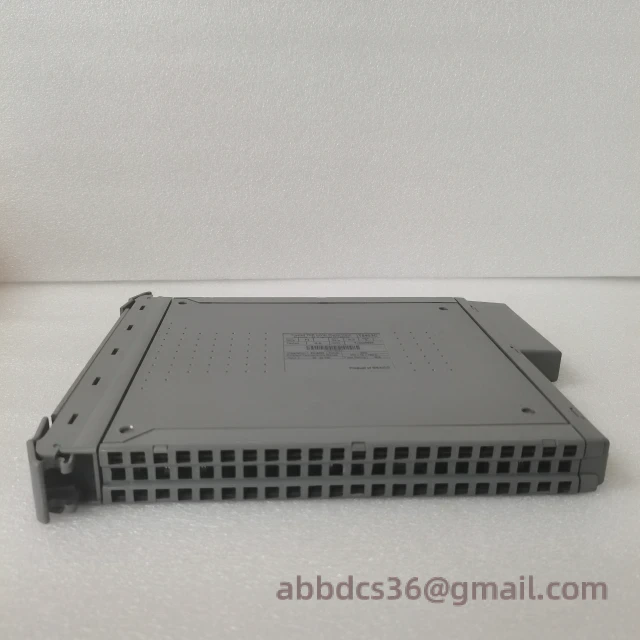 ICS TRIPLEX T8403C Module Installation