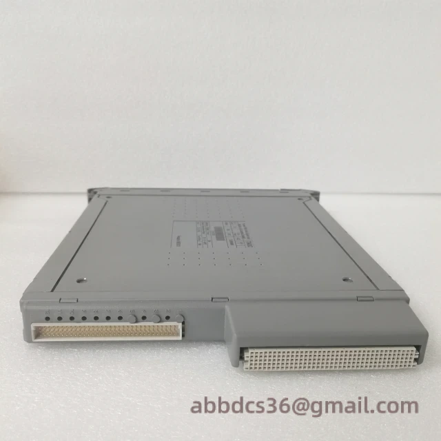 ICS TRIPLEX T8403C Internal Components