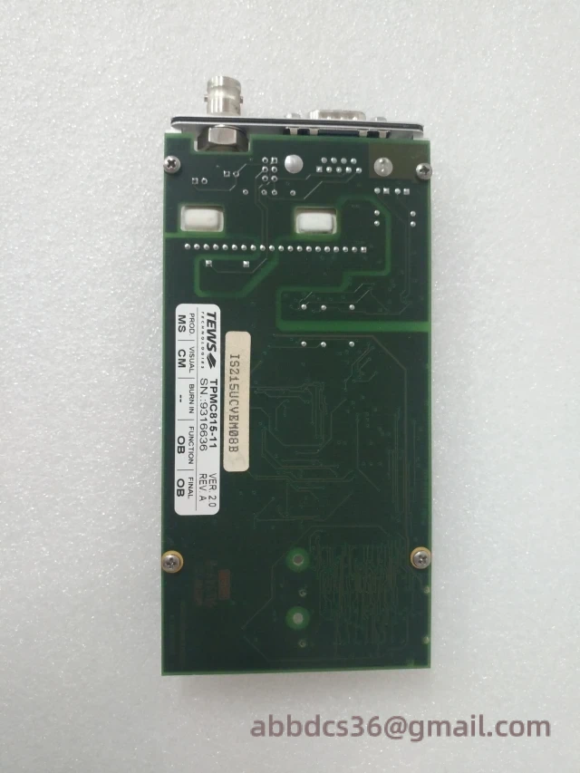 TEWS TPMC815-11