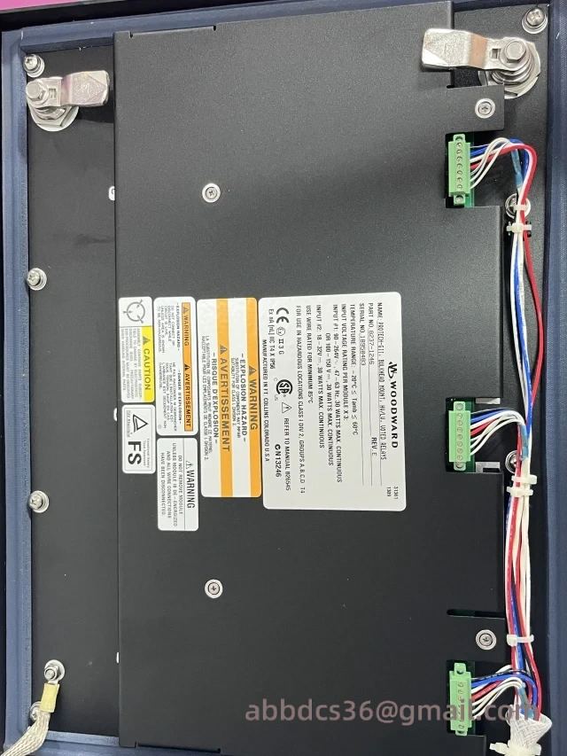 WOODWARD 8237-1246 Internal Components