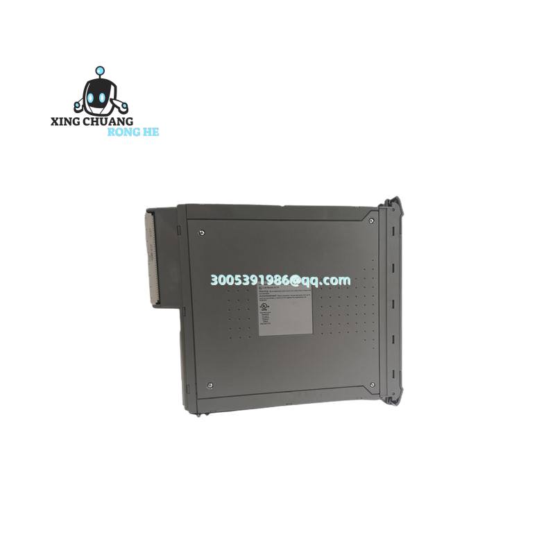 ICS TRIPLEX T8191 module terminal block detail
