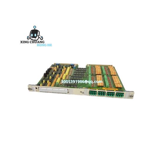 TRICONEX 3005 terminal connections and diagnostic LEDs