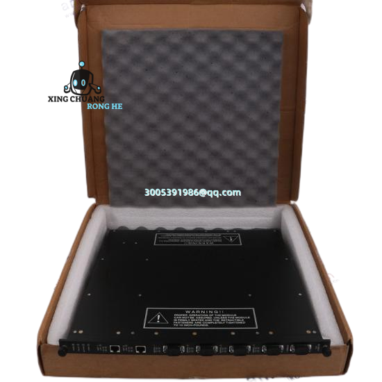 TRICONEX 8120E terminal block detail