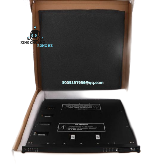 TRICONEX MA2211-100 terminal connections