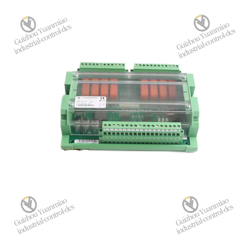 GE IS215UCVGM06A front panel